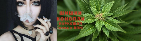 спайс Гусев