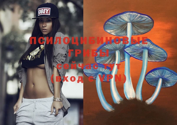 наркотики Гусь-Хрустальный