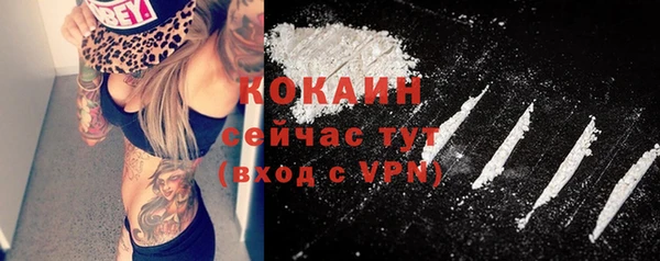 спайс Гусев