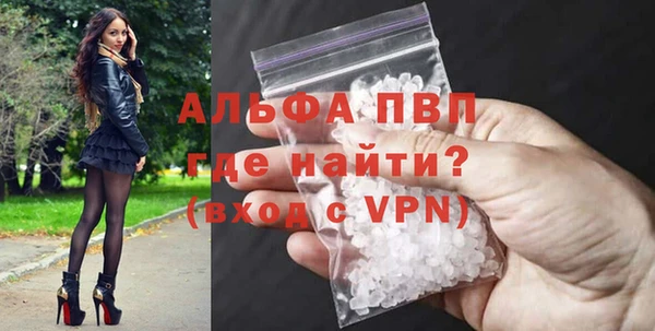 спайс Гусев